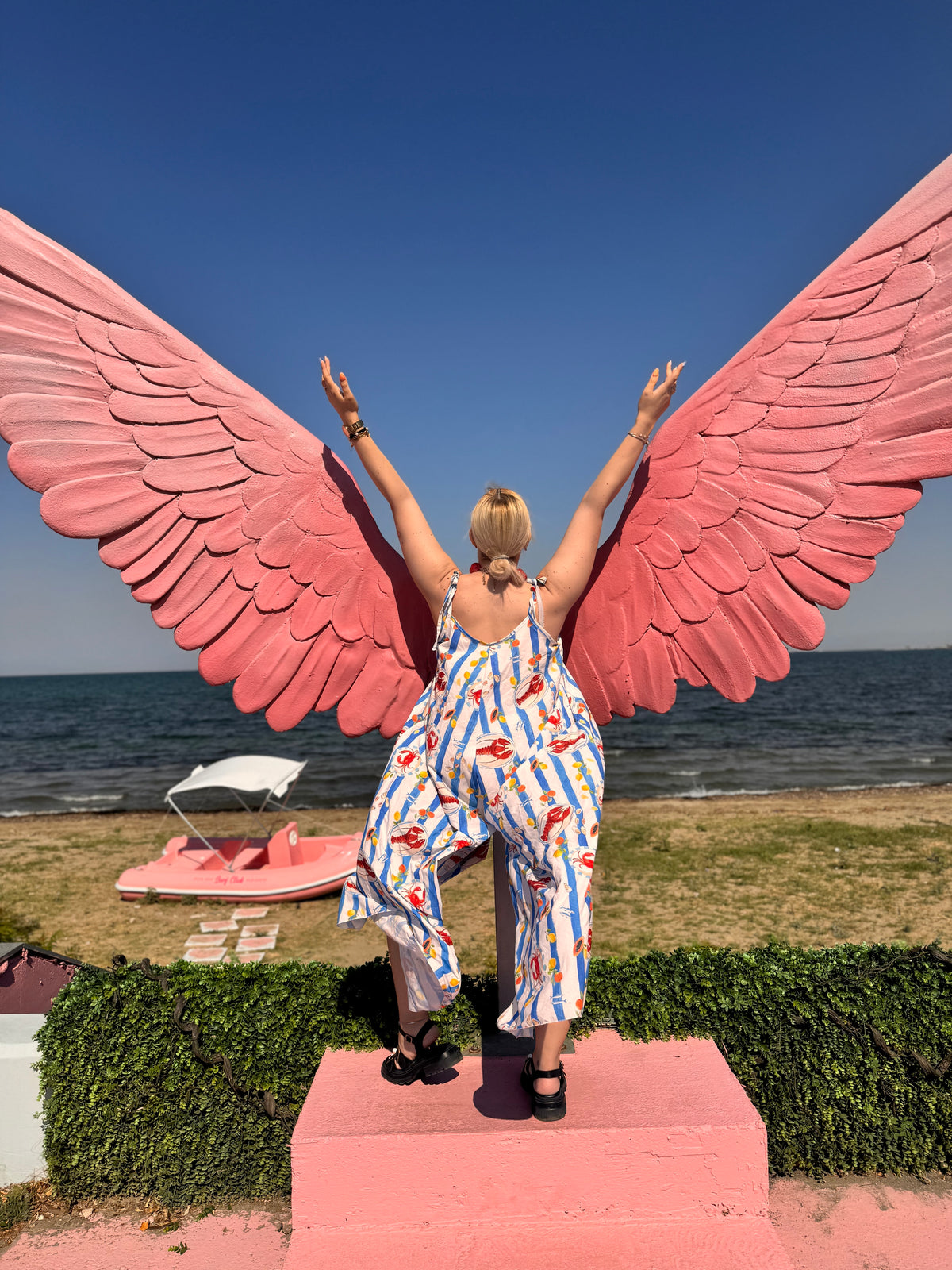 Lobster 🦞 multicolor Jumpsuit