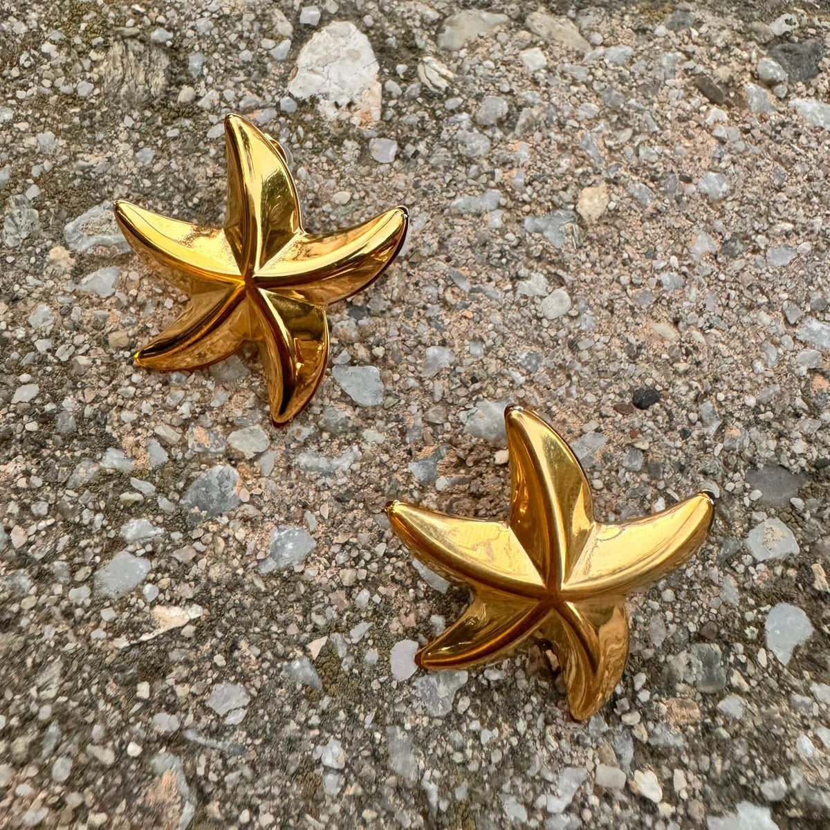 STARFISH EARRINGS